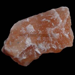 Animal-Licking-Salt-05