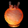 Bird-Nest-Salt-Lamp