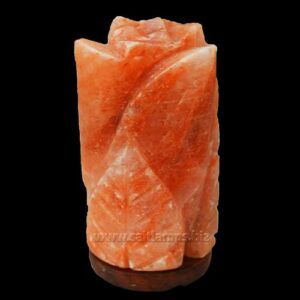 Cylinder-Flower-Salt-Lamp