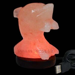 Dolphin Shape Salt Lamp