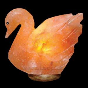 Duck-Salt-Lamp