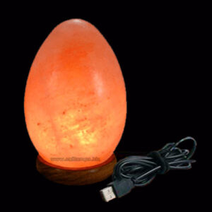 Egg Shape-Salt-Lamp