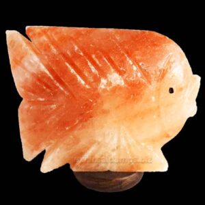 Fish-Salt-Lamp