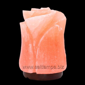 Flower-Salt-Lamp