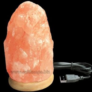 Natural Shape Salt Lamp