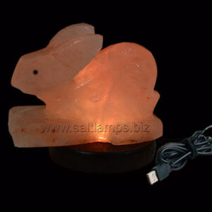 Rabbit-Shape Salt-Lamp