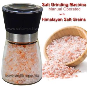 Salt Grinder