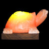 Turtle-Salt-Lamp