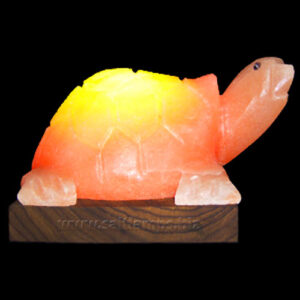 Turtle-Salt-Lamp